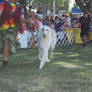 Borzoi 2