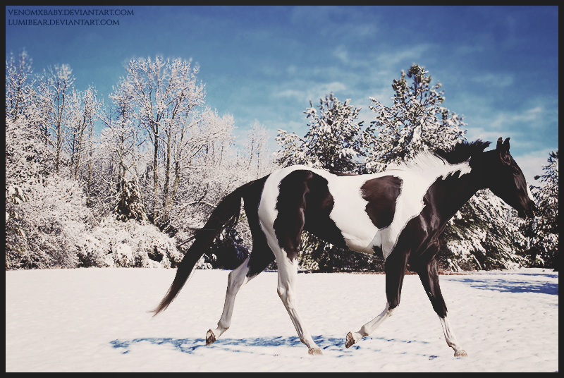 Snow Paint