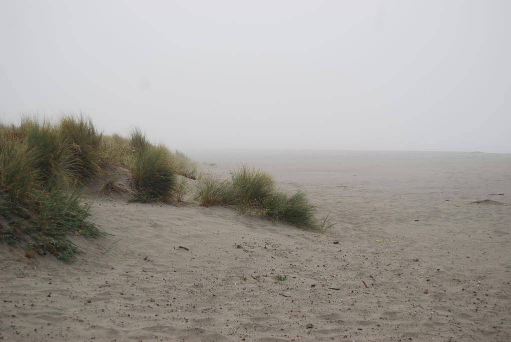 Foggy Beach