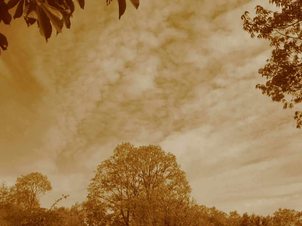 sepia sky by vakaavalon on DeviantArt