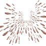 Bullet
