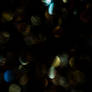 Bokeh Texture