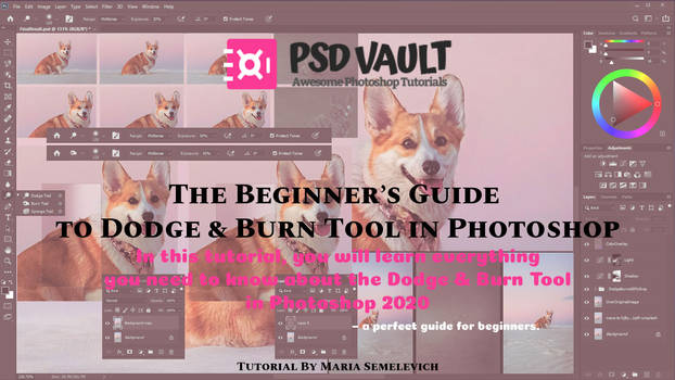 Guide to Dodge and Burn Tool in Photoshop