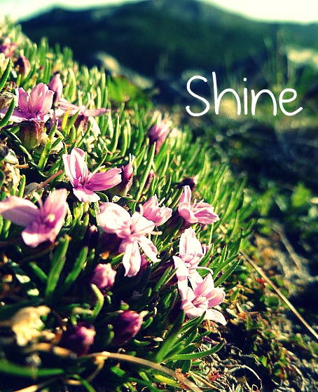 Shine