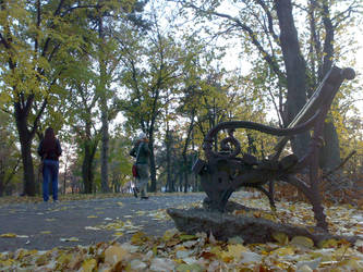 Autumn and a bench