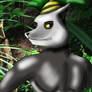 Madagascar King Julien