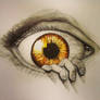 The Eye