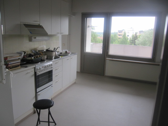 Kitchen-livingroom Combination