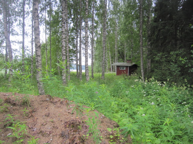 An Old Abandoned Sauna Building