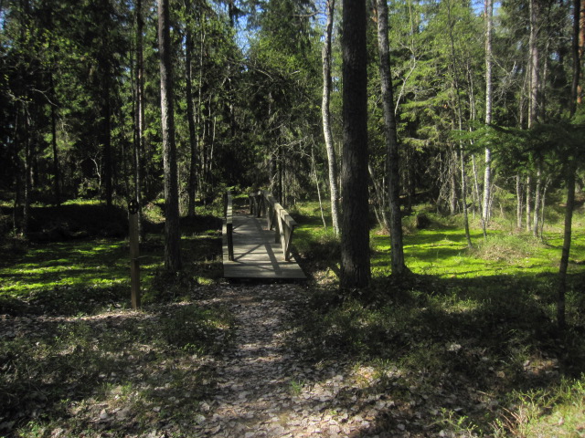 Swamp Bridge