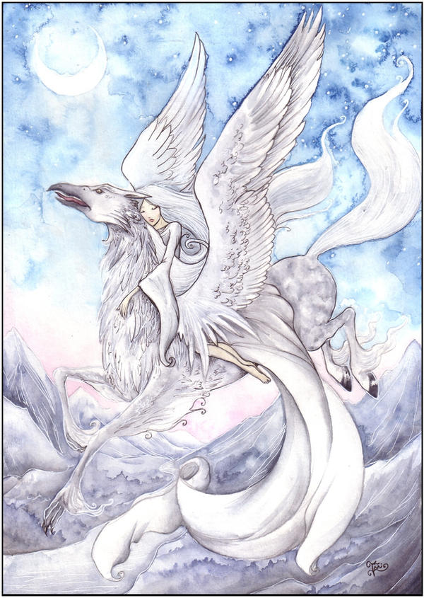 My Fly among Summits