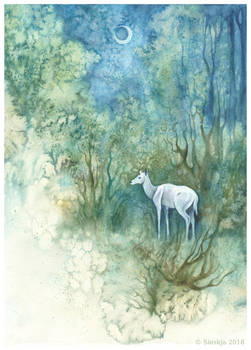 White Doe - AquaChallenge