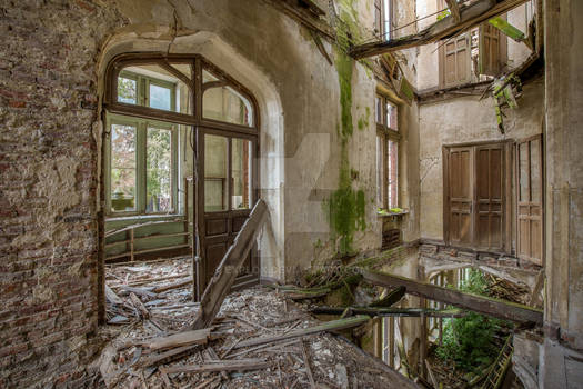 Abandoned Chateau