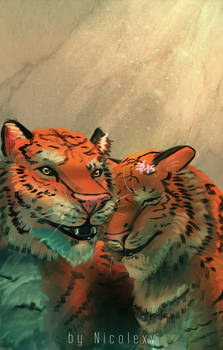 Tigers Tigers