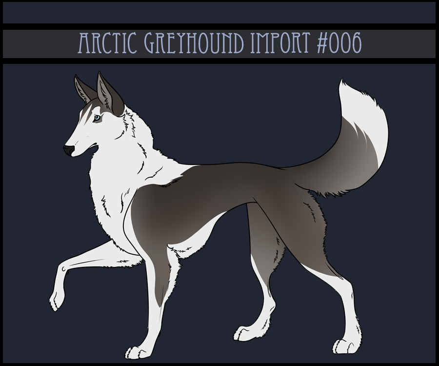 Arctic Greyhound Import #6