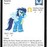Soarin Profile Card - Pony Figure Game