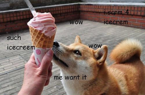 Shibe loves Icecream