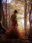 Autumn Forest by kayceeus