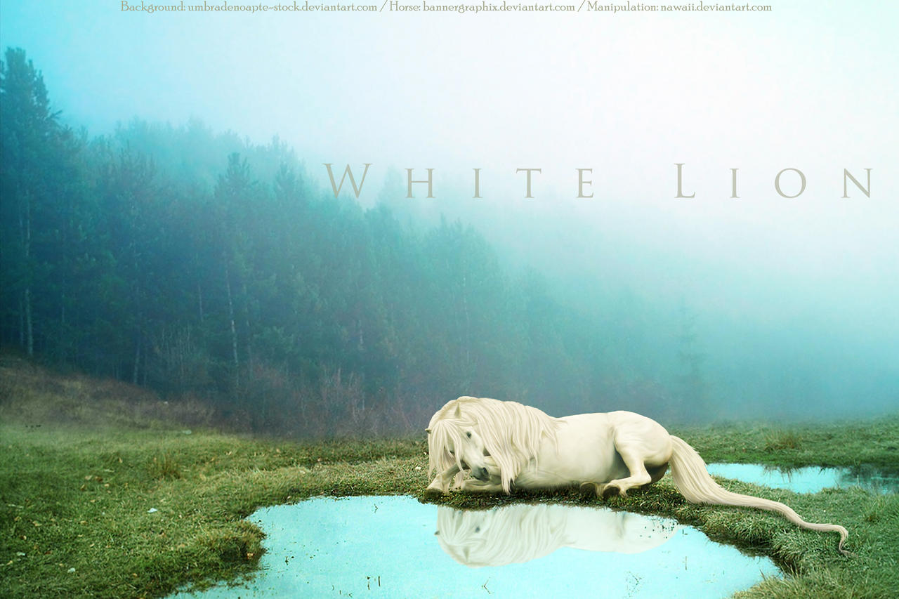 White Lion