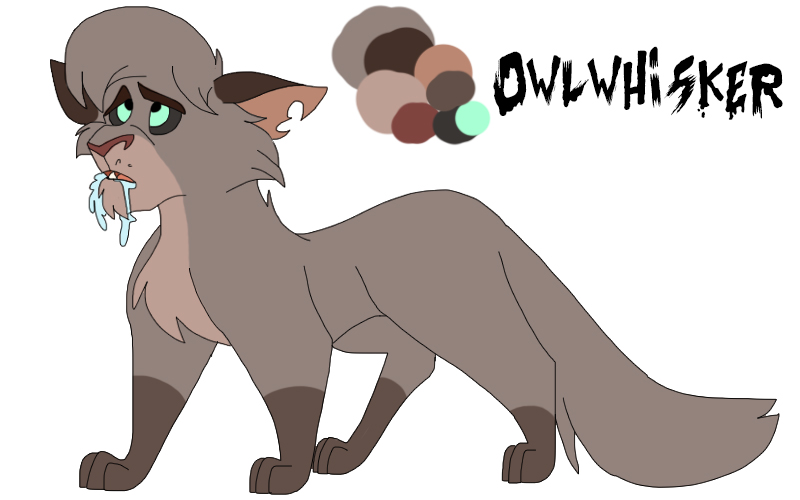 Owlwhisker, Warriors Wiki, Fandom