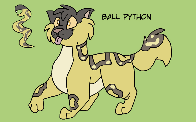 Commish: Ball Python by Zee-Stitch on DeviantArt