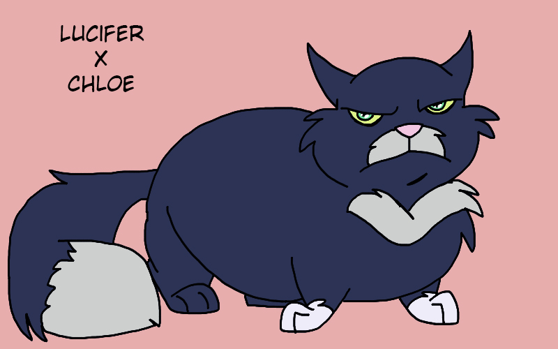 Animated Cats: D1 by Zee-Stitch on DeviantArt