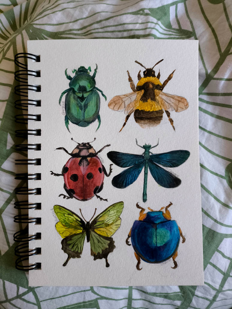 All Insects List Deviantart insects by w3iiku on DeviantArt