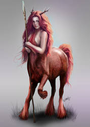 Centaur redhead
