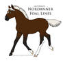 A3589 nordanner foal