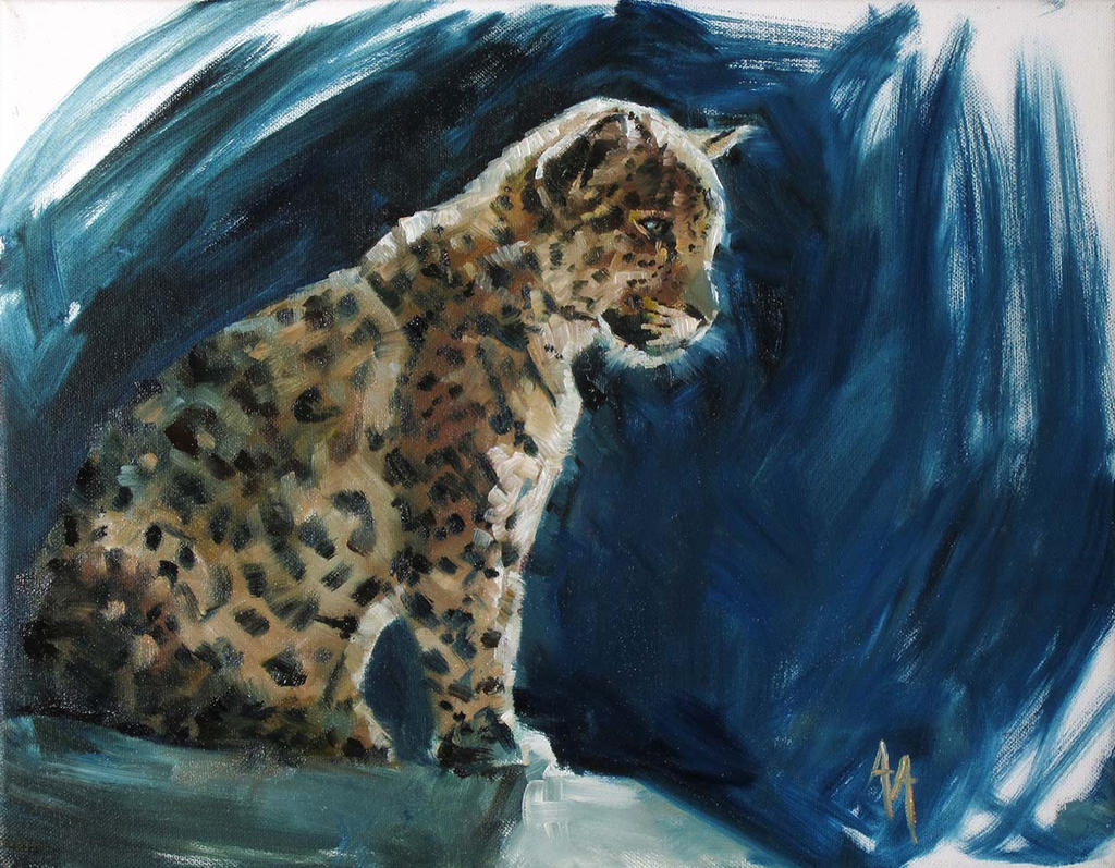 Adolescent Jaguar