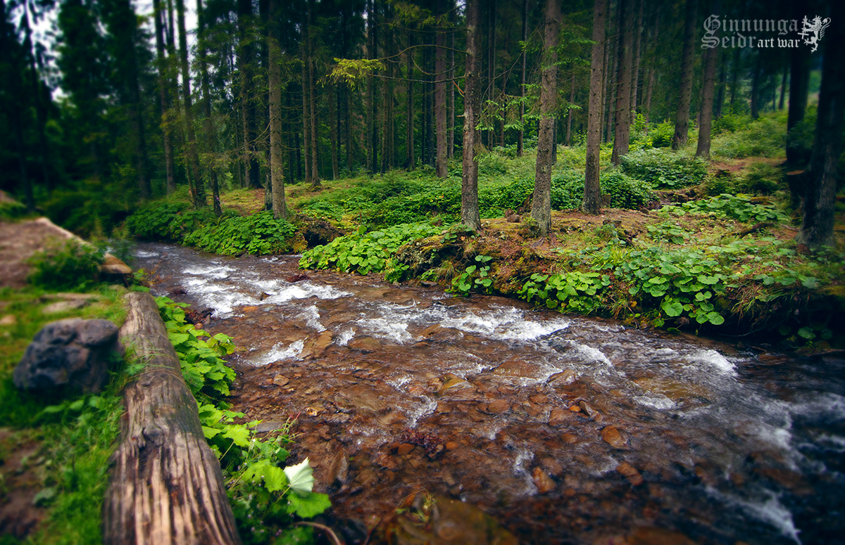 Spell of the Forest River