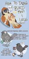 How to Draw Bird Feet and Legs