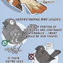 How to Draw Bird Feet and Legs