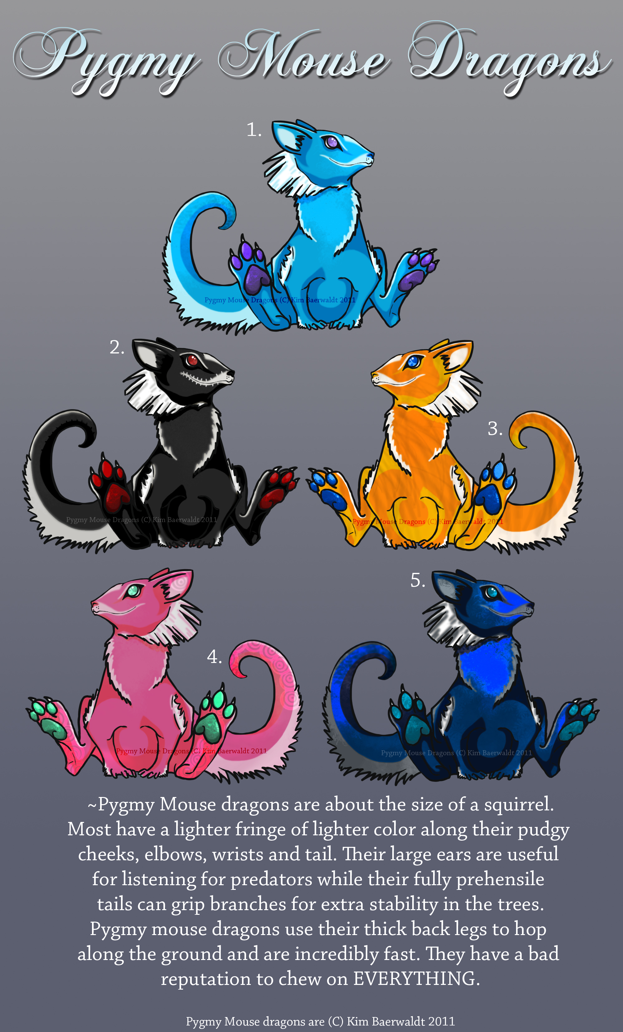 Pygmy Mouse dragon adoptables batch 1