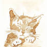 Coffe painting cat Moleskine Sketchbook