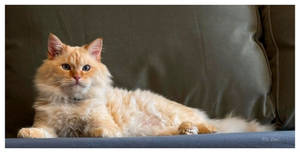 In his inner world I