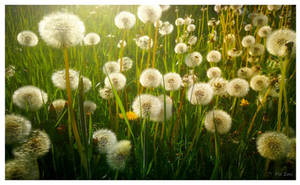 #ForestGreen DA Daily Challenges 2026 Day 21