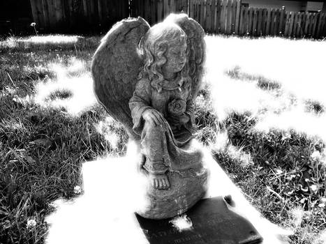 Salt Spring Island Cherub