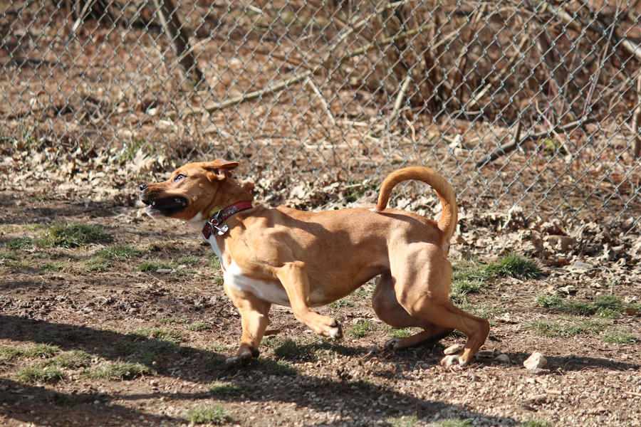 Raz by SecretPoet17 on DeviantArt