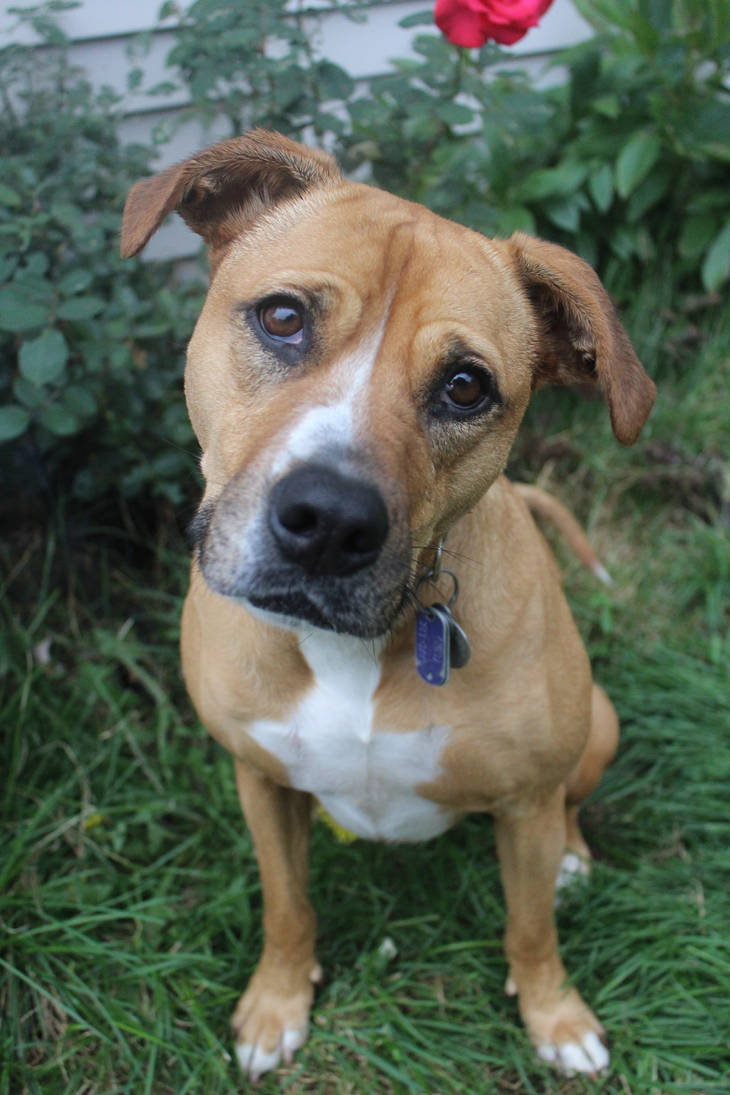 Raz by SecretPoet17 on DeviantArt