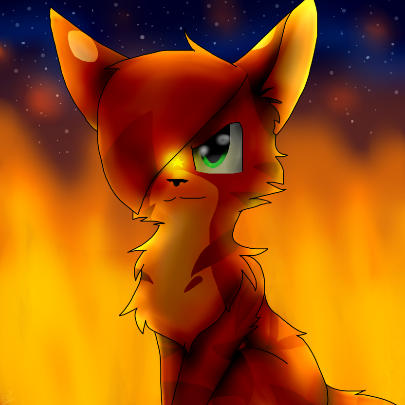 Firestar (Warrior cats) by Emamaria on DeviantArt