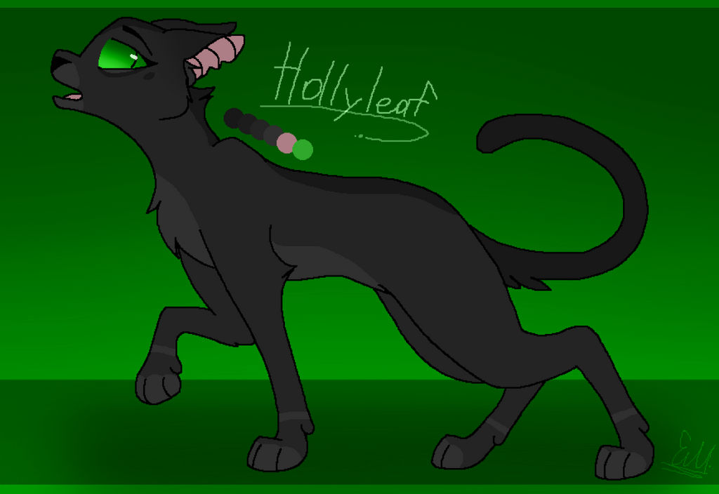 Hollyleaf Design Warrior Cats By Emamaria On Deviantart Hollyleaf Design Warrior Cats By Emamaria On Deviantart