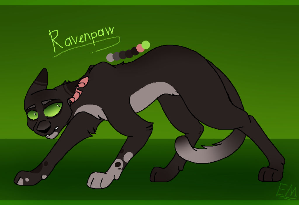 Ravenpaw design (Warrior cats) by Emamaria on DeviantArt