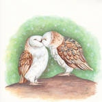Kissing Owls by IreneShpak