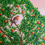 Robin in an Orange Tree