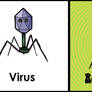 Retrovirus