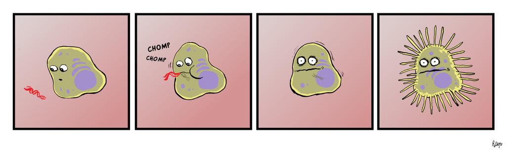 Cell meets plasmid