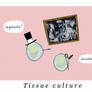 Tissue Culture