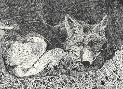 Art 1 Assignment - Pen and Ink Fox