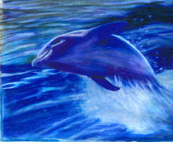 dolphin